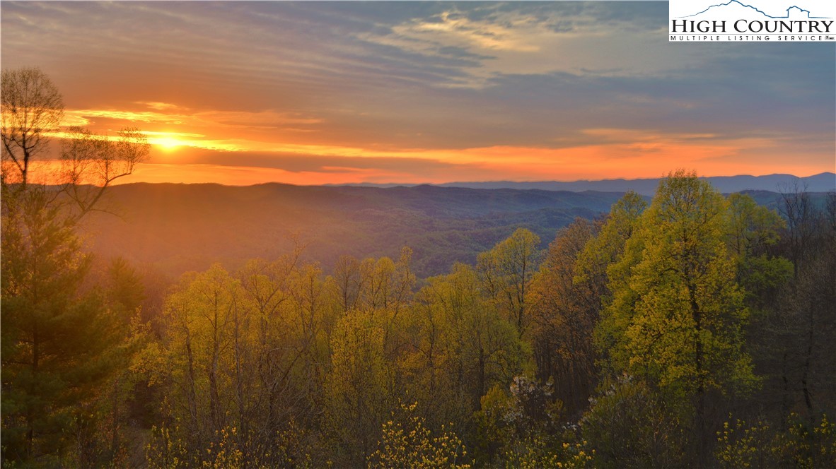 137 Burningbush Trail Property Photo 4