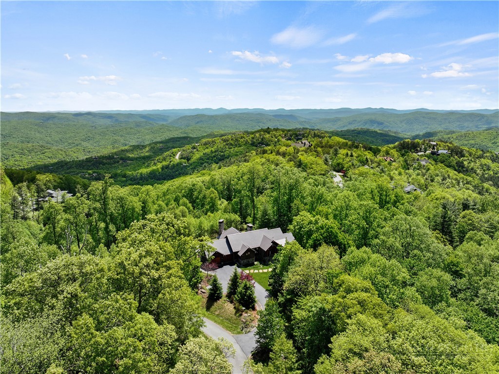 137 Burningbush Trail Property Photo 47