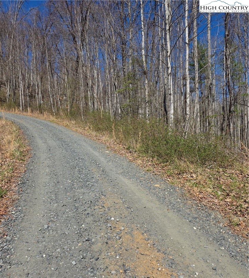 23 Altamont Way Property Photo 6