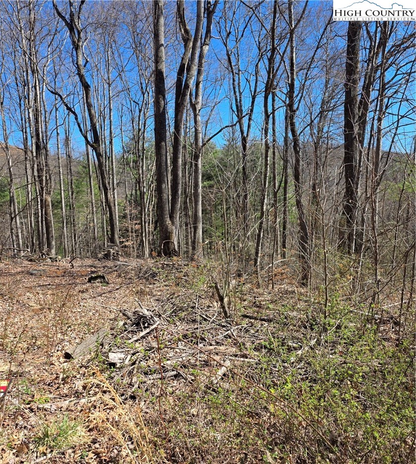 23 Altamont Way Property Photo 10