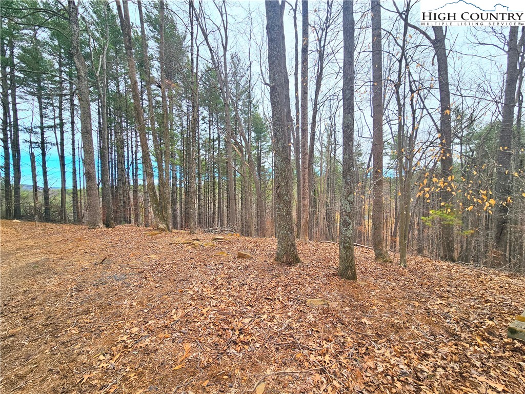 Tba Pine Springs Dr Property Photo 2