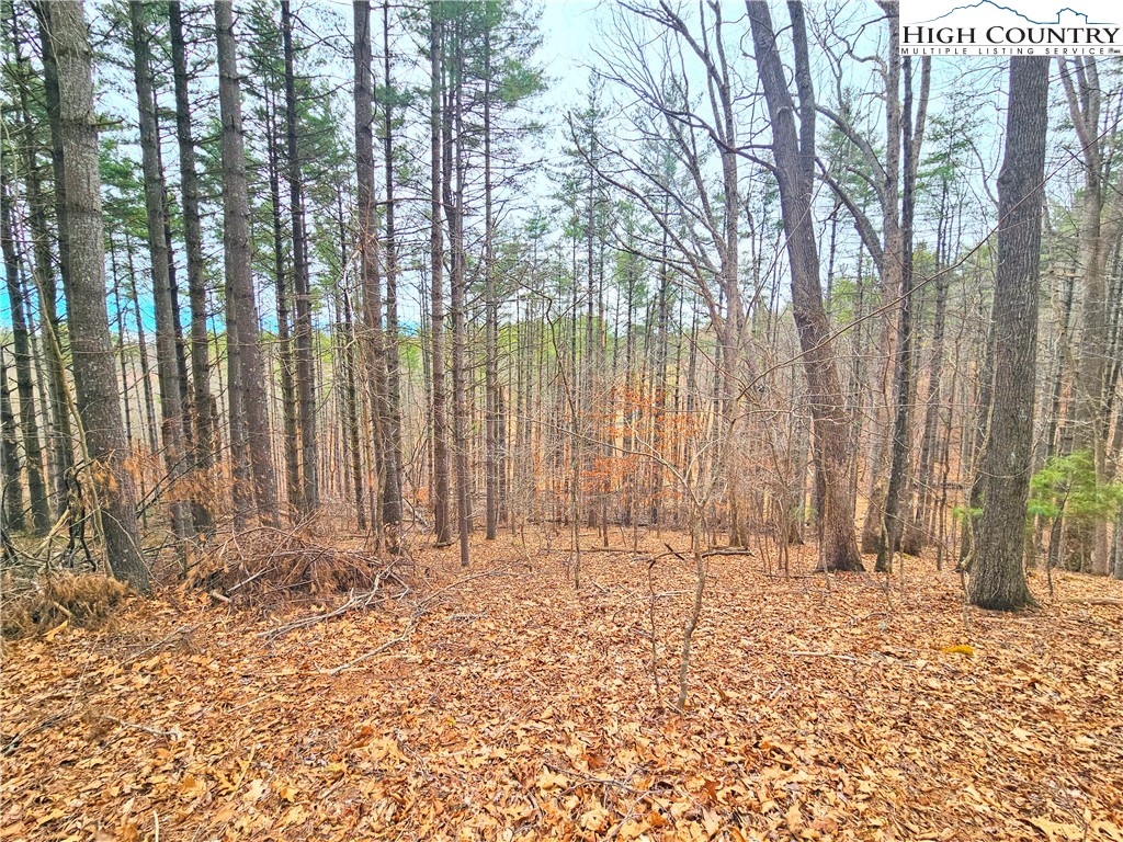 Tba Pine Springs Dr Property Photo 3