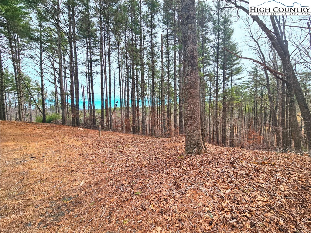 Tba Pine Springs Dr Property Photo 4