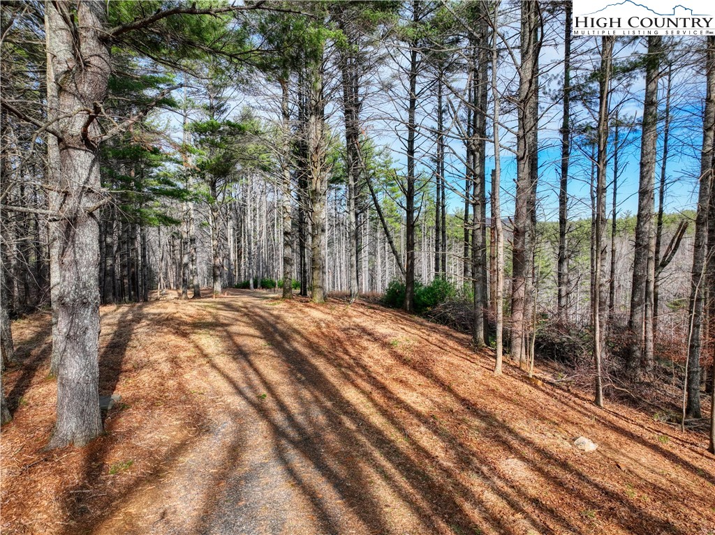 Tba Pine Springs Dr Property Photo 5