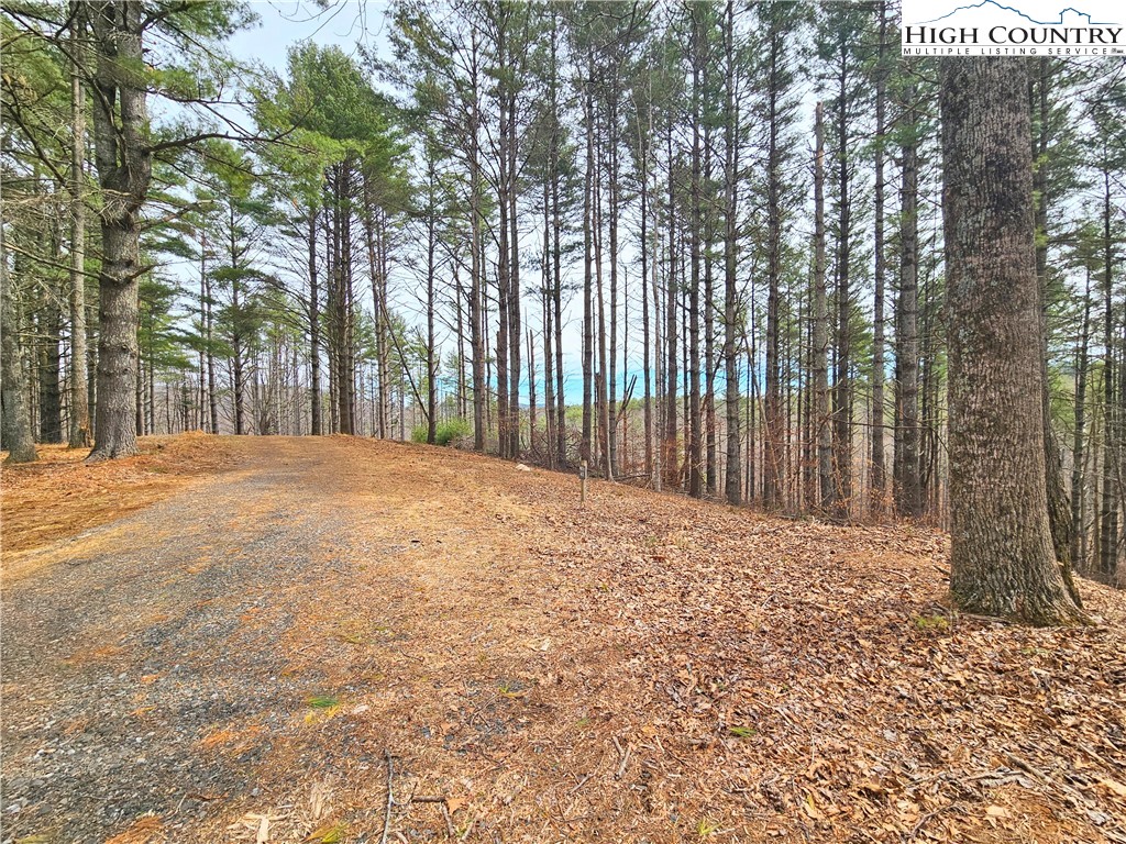 Tba Pine Springs Dr Property Photo 6