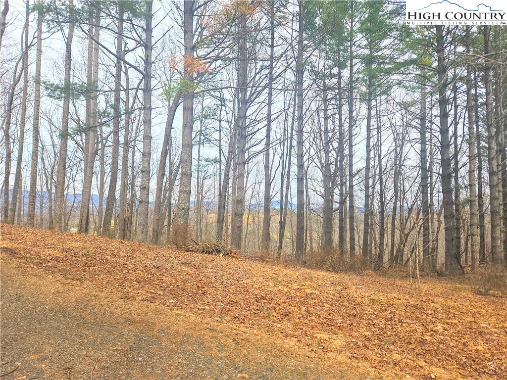 Tba Pine Springs Dr Property Photo 7