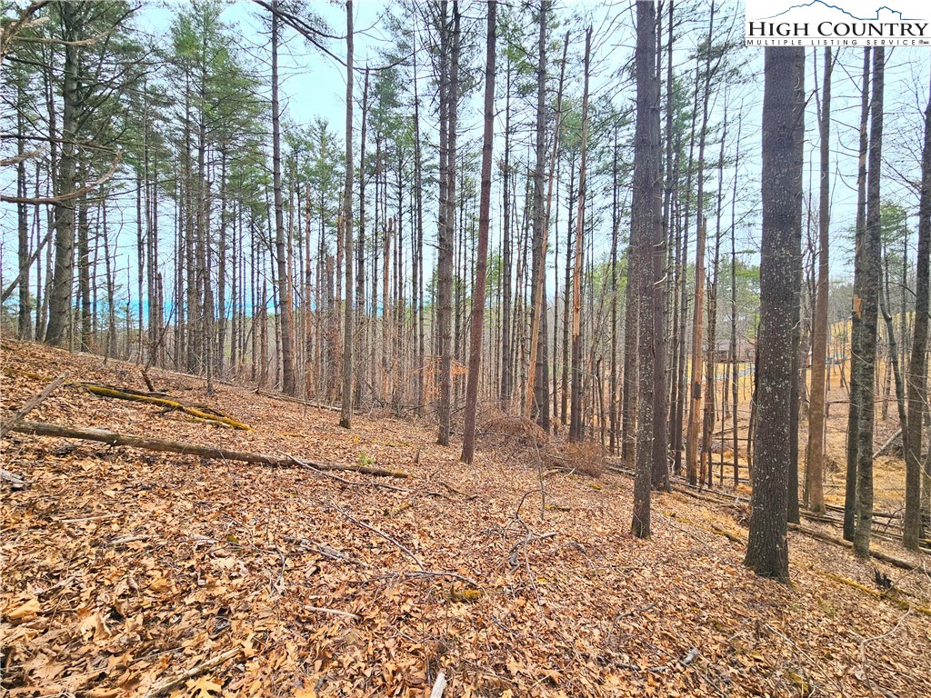 Tba Pine Springs Dr Property Photo 9