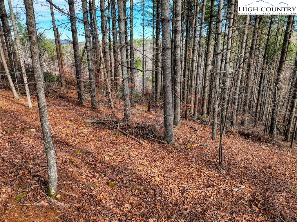 Tba Pine Springs Dr Property Photo 10