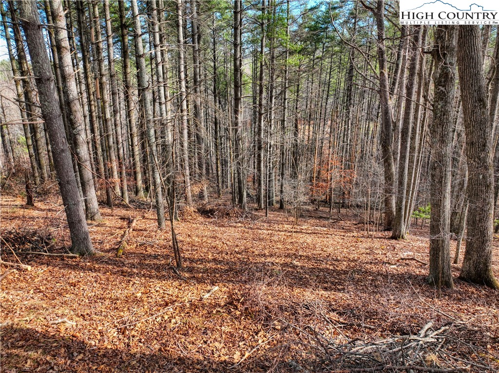 Tba Pine Springs Dr Property Photo 11