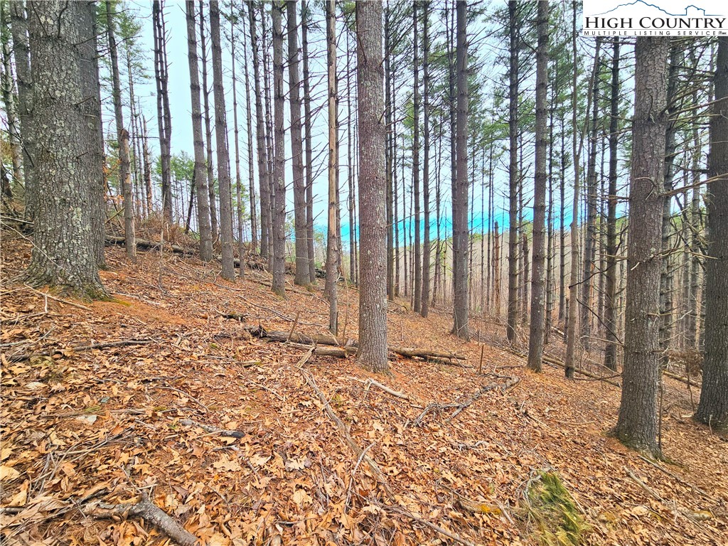 Tba Pine Springs Dr Property Photo 12