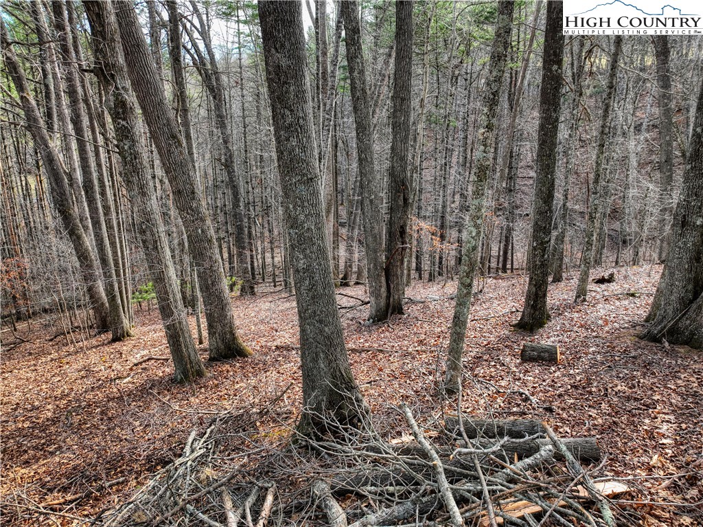 Tba Pine Springs Dr Property Photo 13