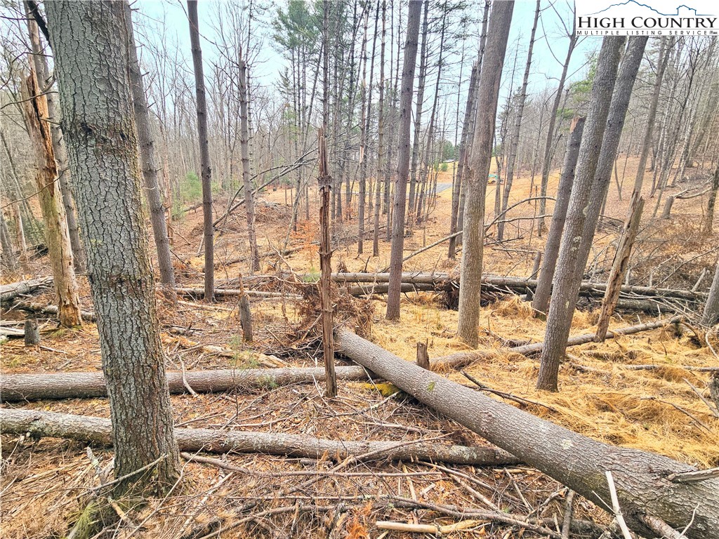 Tba Pine Springs Dr Property Photo 14