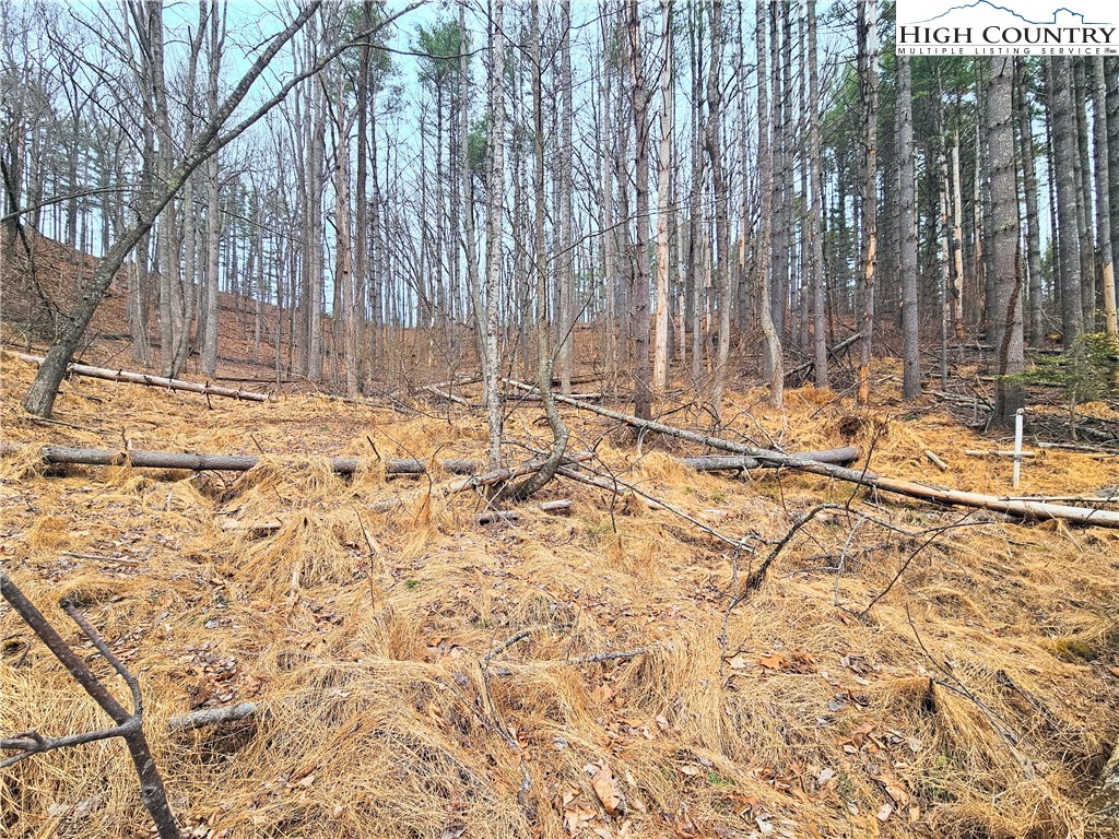 Tba Pine Springs Dr Property Photo 15