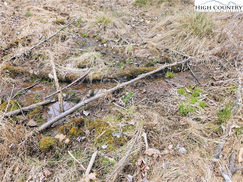 Tba Pine Springs Dr Property Photo 16