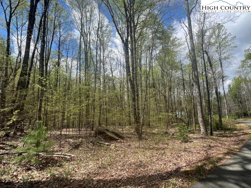 Lot 45 Sonterra Drive Property Photo 1