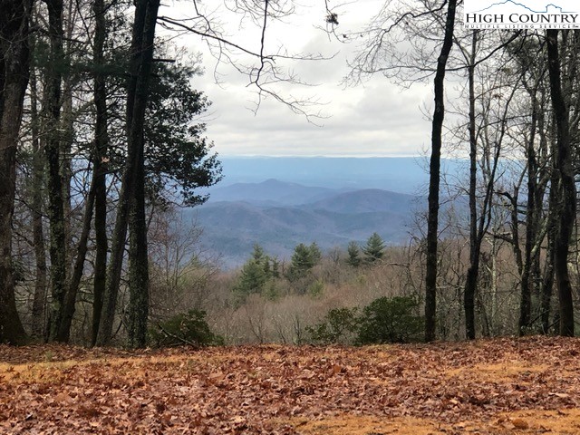 Lot 156c Oak Circle Property Photo 1