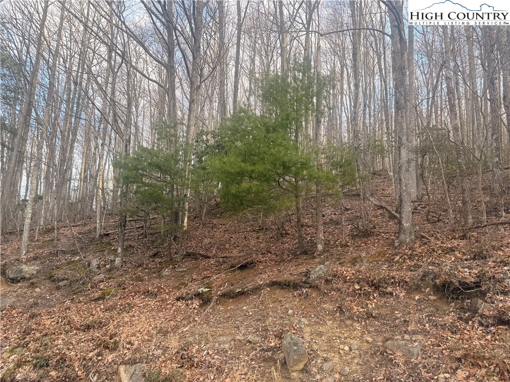 212 Jackpine Road Property Photo 1