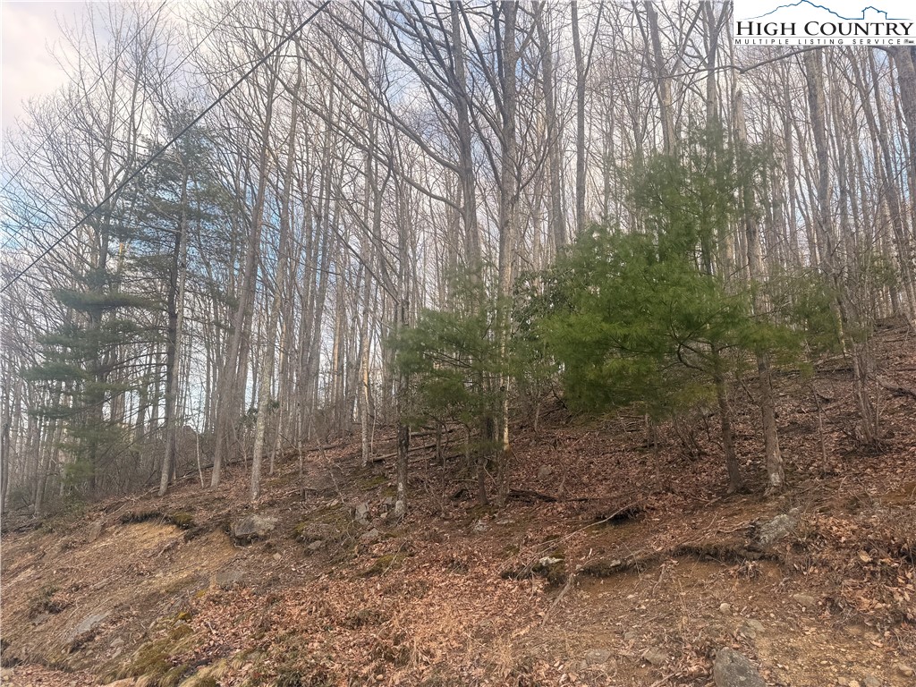 212 Jackpine Road Property Photo 2