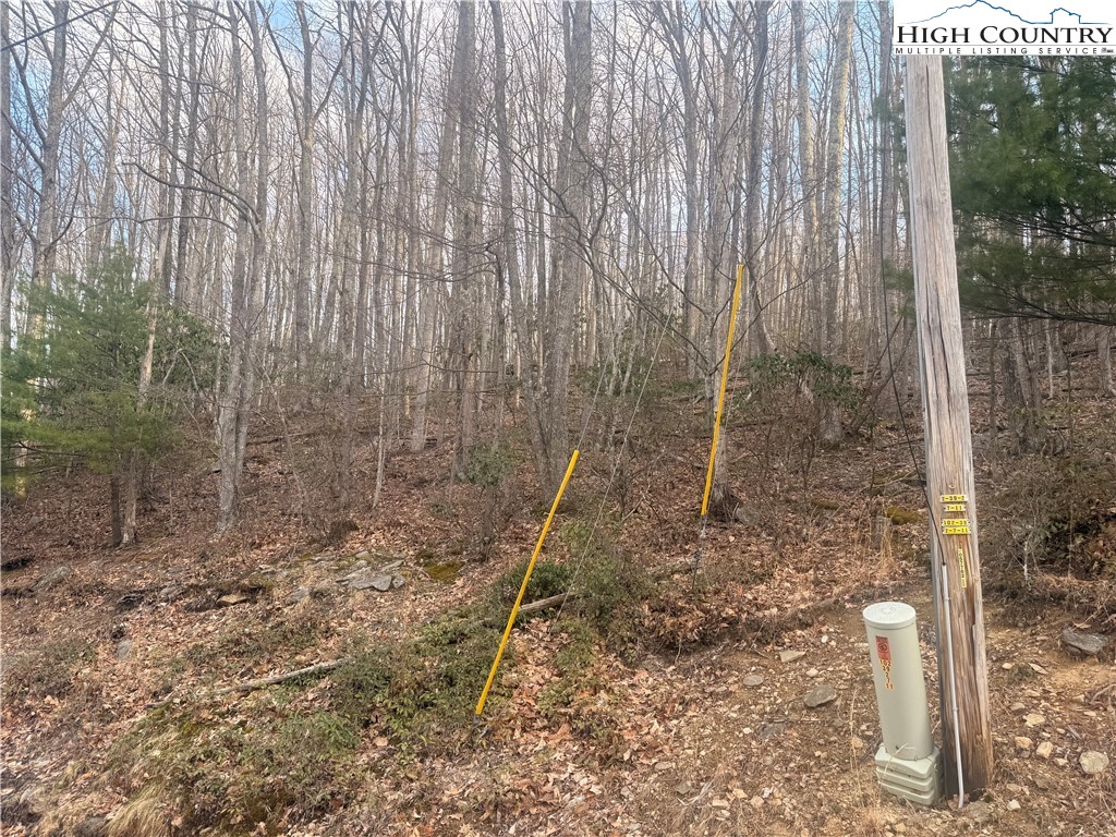 212 Jackpine Road Property Photo 3