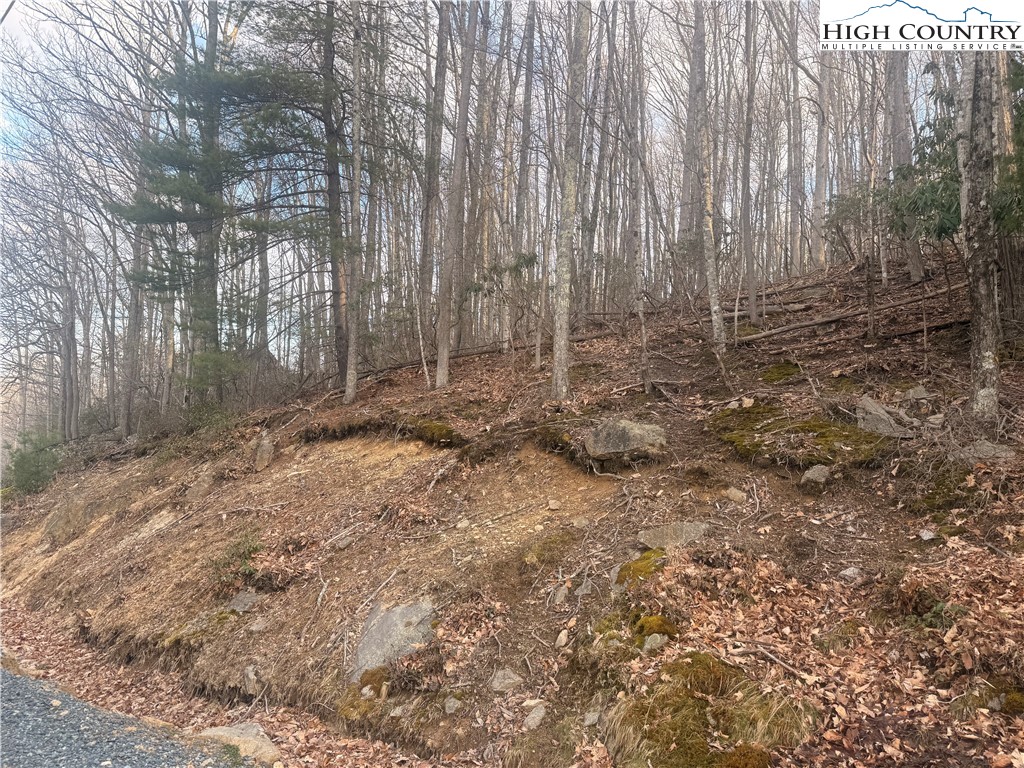 212 Jackpine Road Property Photo 4