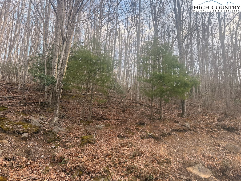 212 Jackpine Road Property Photo 5