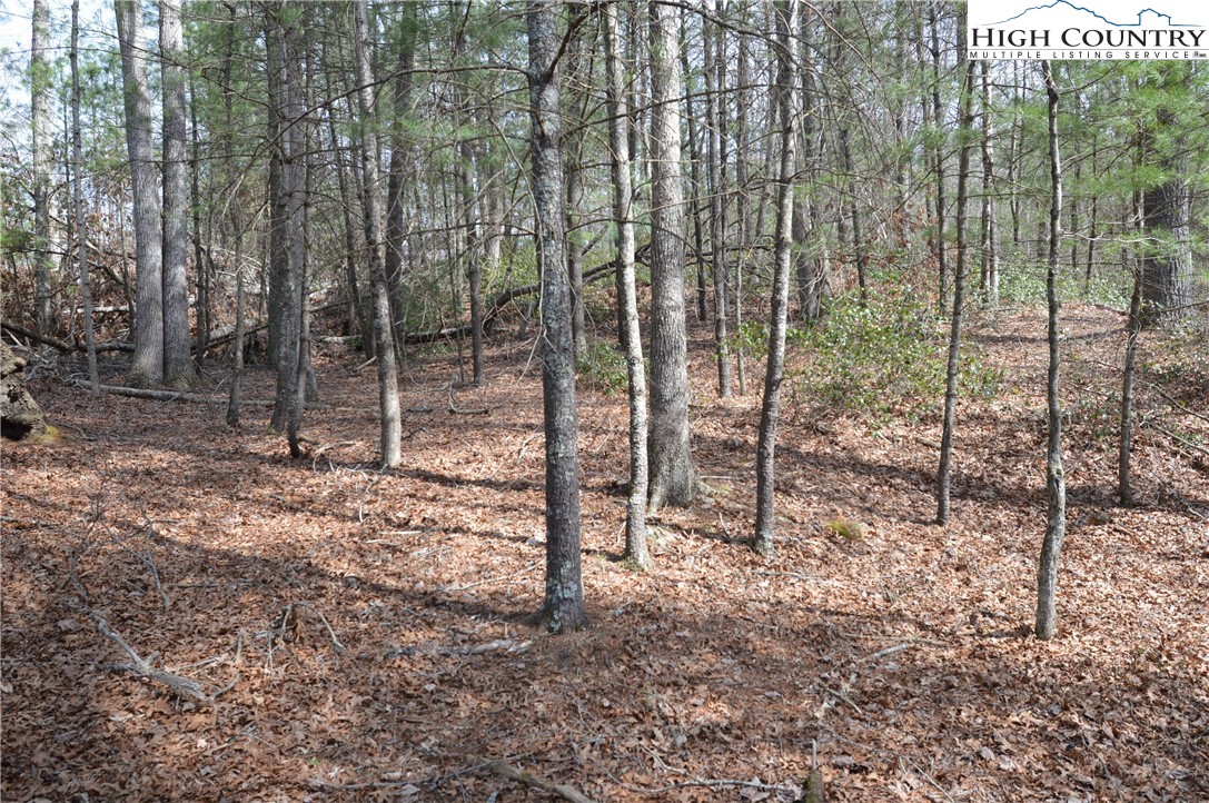 Lot #6 Cubs Lane Property Photo 1