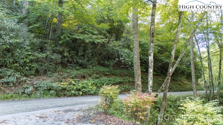 Tbd Clear Creek Drive Property Photo 2