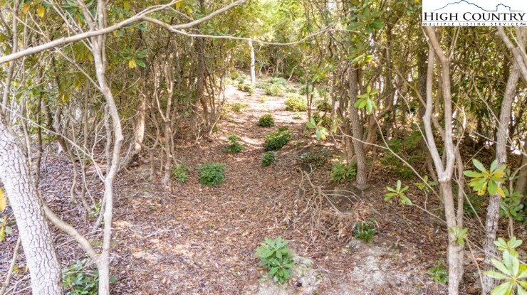 Tbd Clear Creek Drive Property Photo 9
