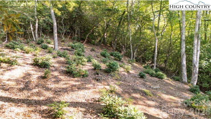 Tbd Clear Creek Drive Property Photo 10
