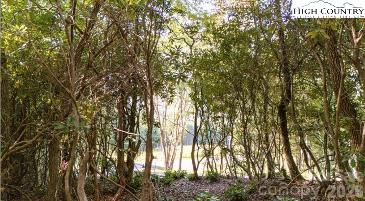 Tbd Clear Creek Drive Property Photo 11