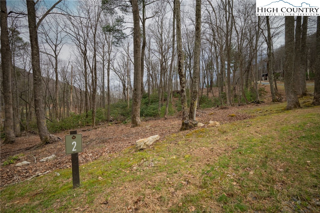 Lot 2 Wildcat Wilderness Parkway Property Photo 2