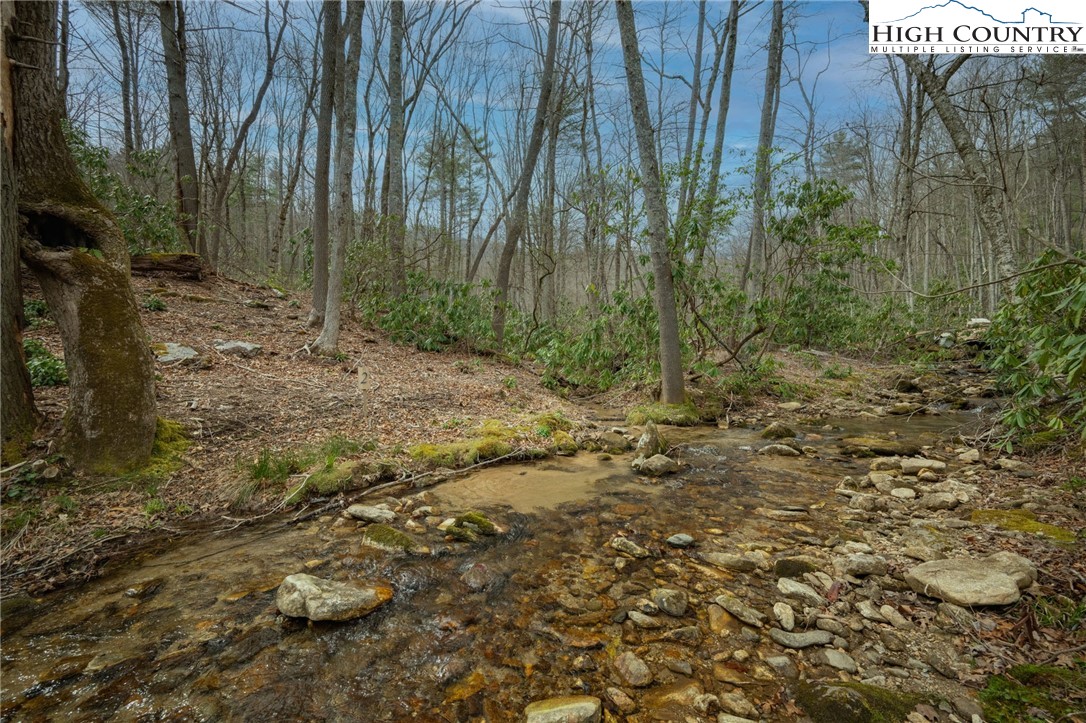 Lot 2 Wildcat Wilderness Parkway Property Photo 3