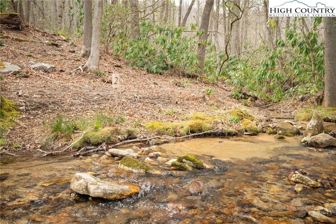 Lot 2 Wildcat Wilderness Parkway Property Photo 4