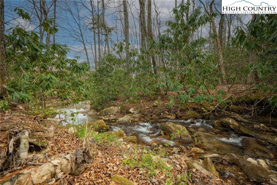 Lot 2 Wildcat Wilderness Parkway Property Photo 11