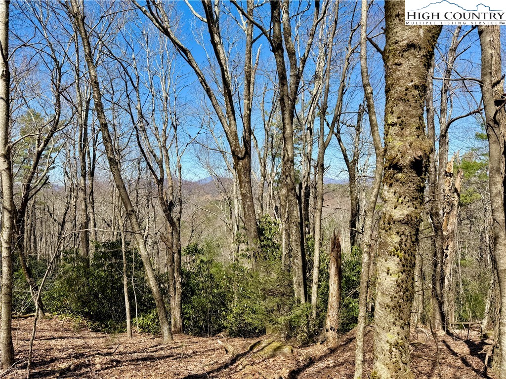 Tbd Grandview Drive Property Photo 2