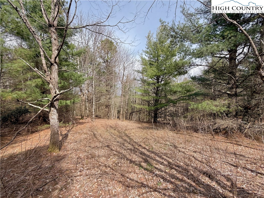 Tbd Grandview Drive Property Photo 20