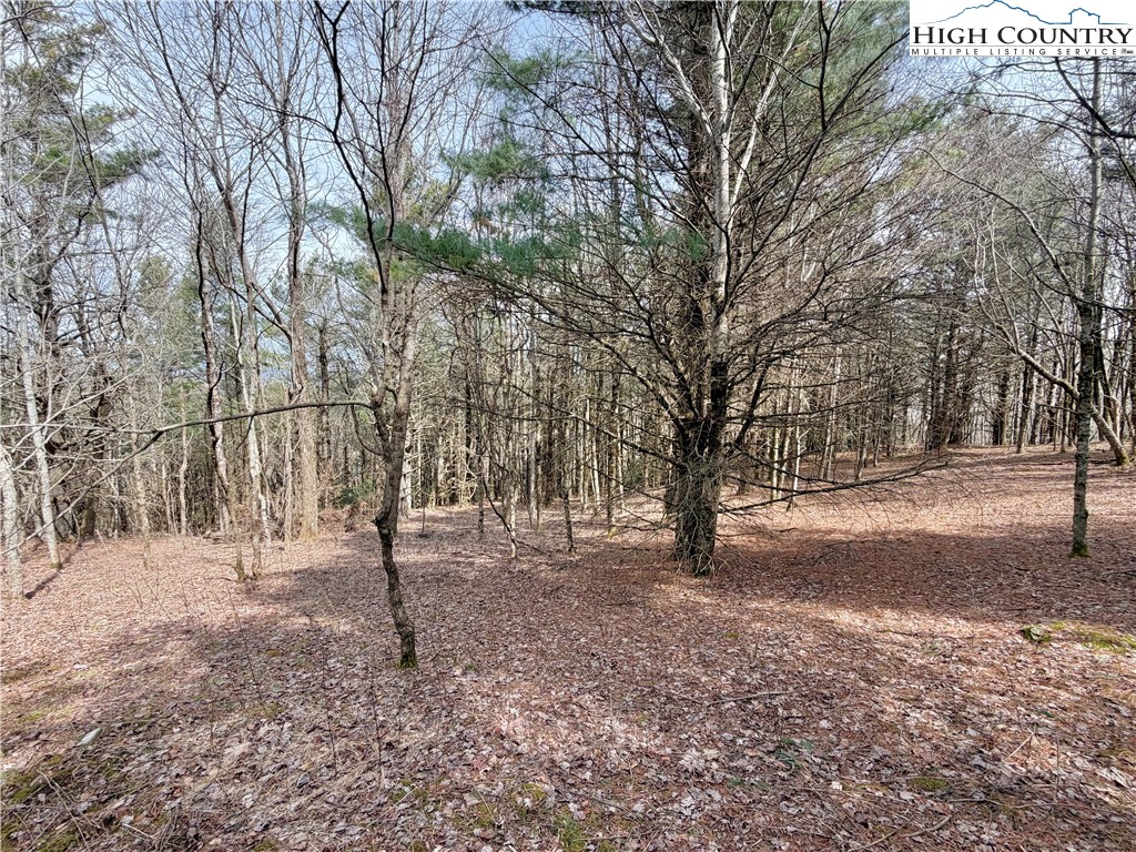 Tbd Grandview Drive Property Photo 21