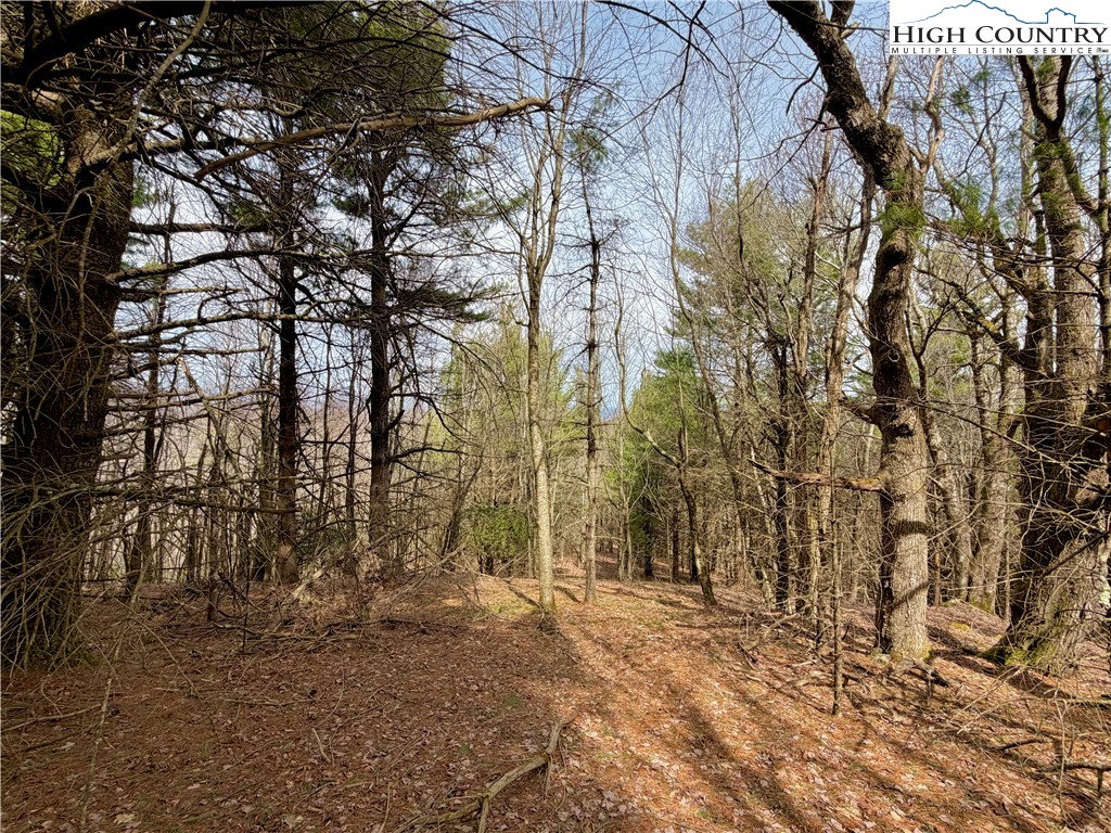 Tbd Grandview Drive Property Photo 22