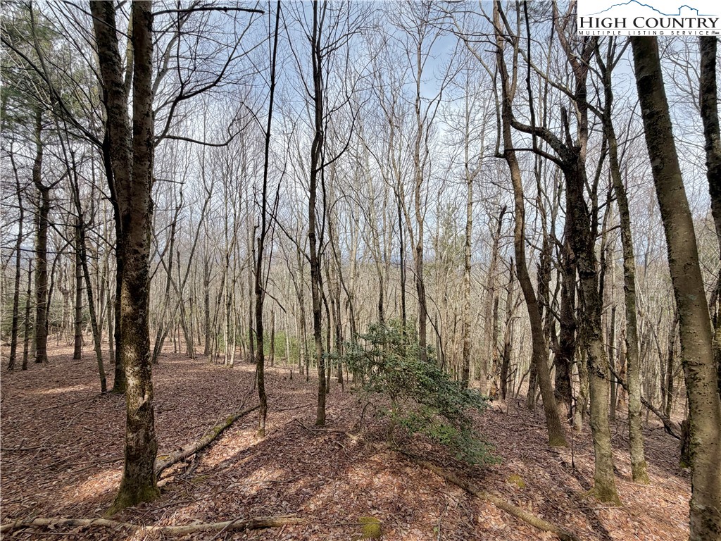 Tbd Grandview Drive Property Photo 23
