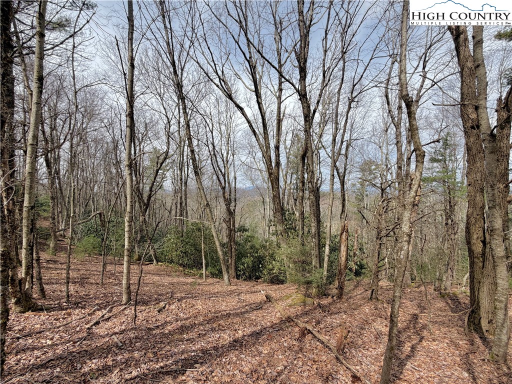 Tbd Grandview Drive Property Photo 24