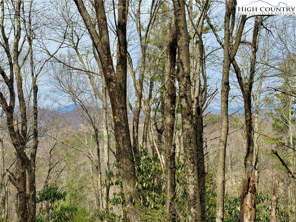 Tbd Grandview Drive Property Photo 25