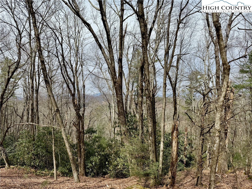 Tbd Grandview Drive Property Photo 26