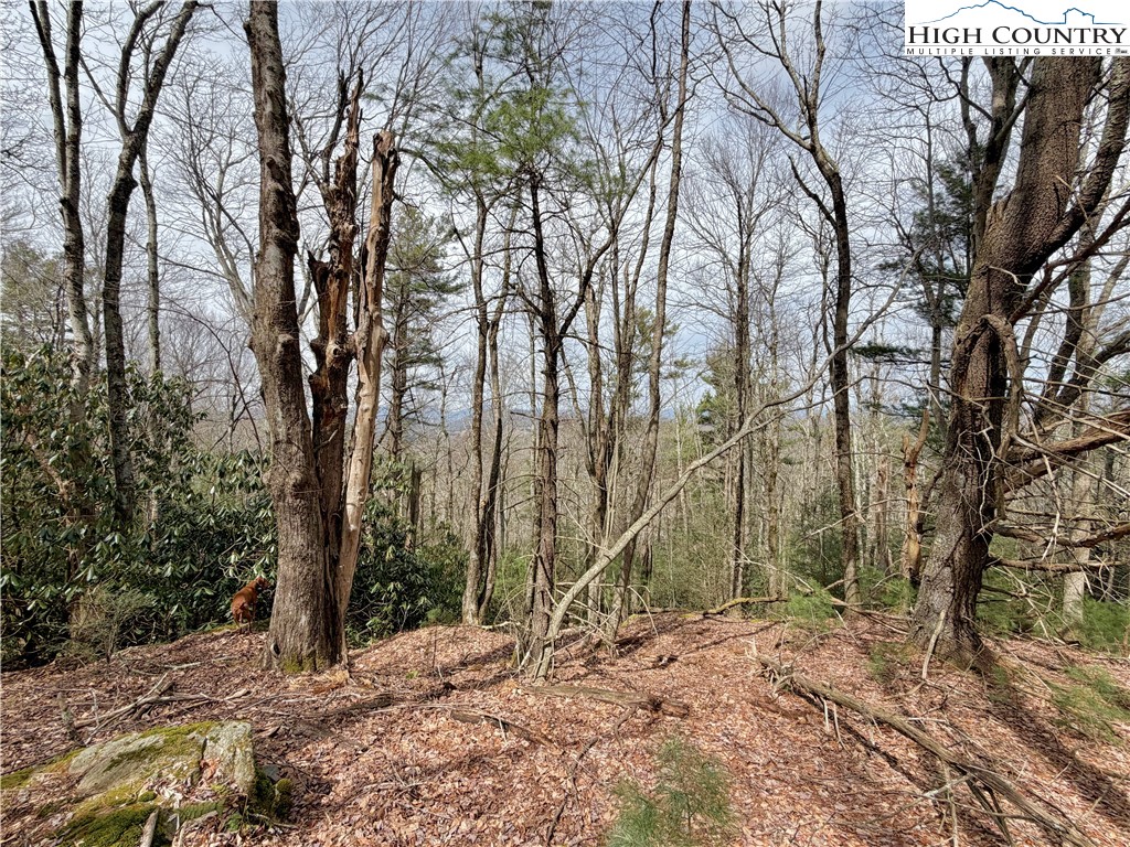 Tbd Grandview Drive Property Photo 27