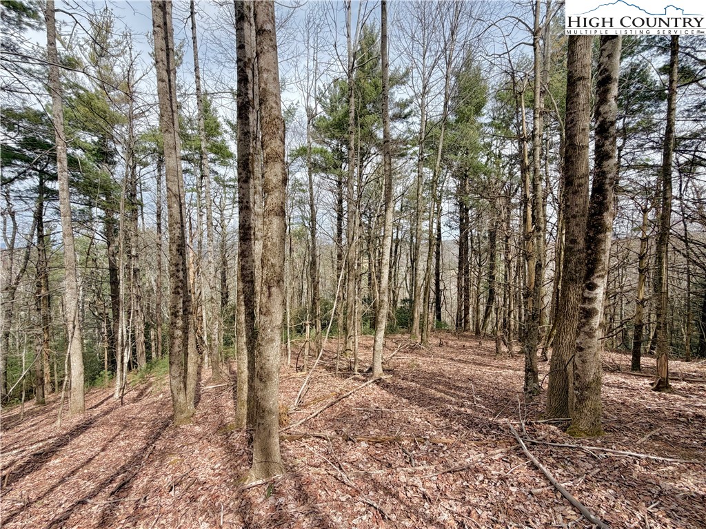 Tbd Grandview Drive Property Photo 28
