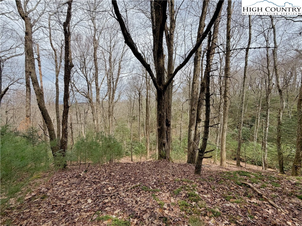 Tbd Grandview Drive Property Photo 29