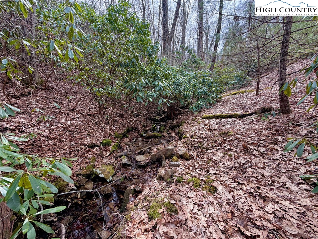 Tbd Grandview Drive Property Photo 30