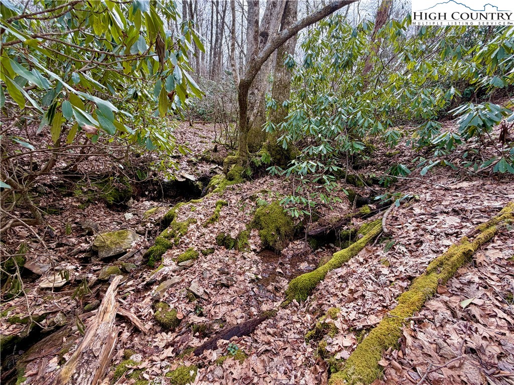 Tbd Grandview Drive Property Photo 31