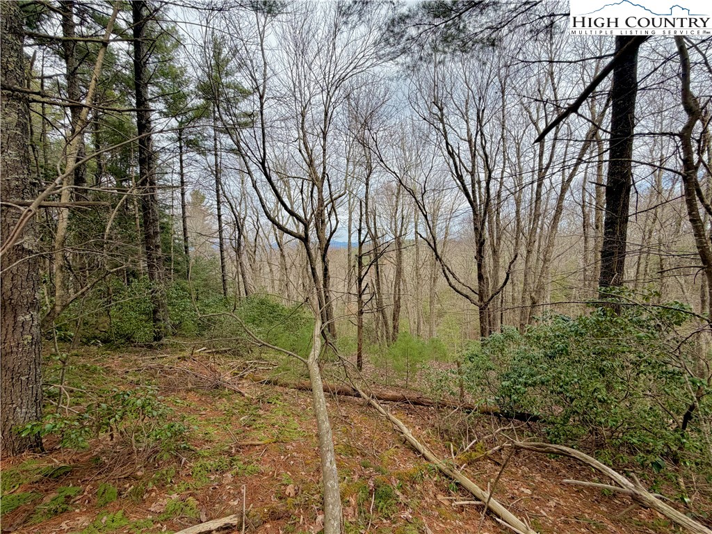 Tbd Grandview Drive Property Photo 32