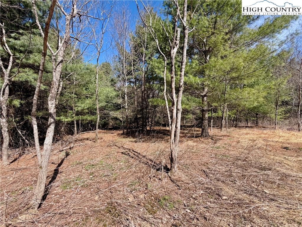 Tbd Grandview Drive Property Photo 34