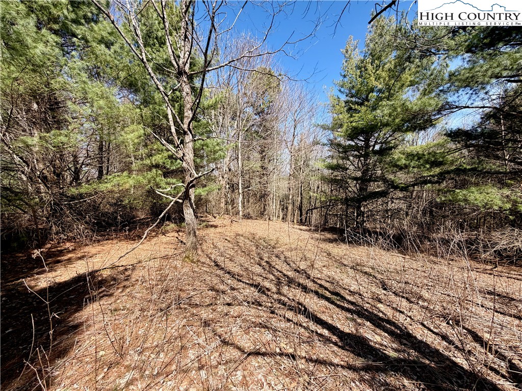 Tbd Grandview Drive Property Photo 35